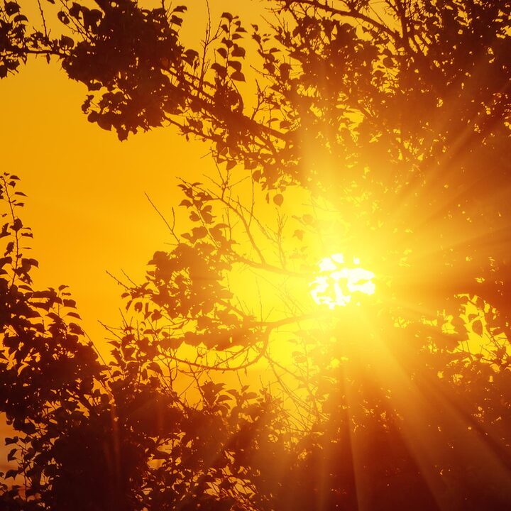 12 से 15 फरवरी तक मौसम रहेगा शुष्क, 16 को ऊंचाई वाले इलाकों में बारिश-बर्फबारी के आसार