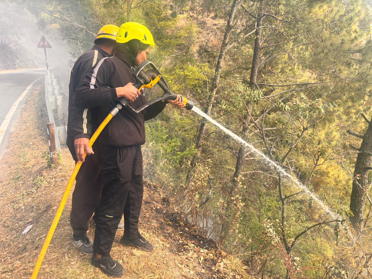 अल्मोड़ा में बड़ा हादसा टला: जंगल की आग पर फायर सर्विस ने समय रहते पाया काबू